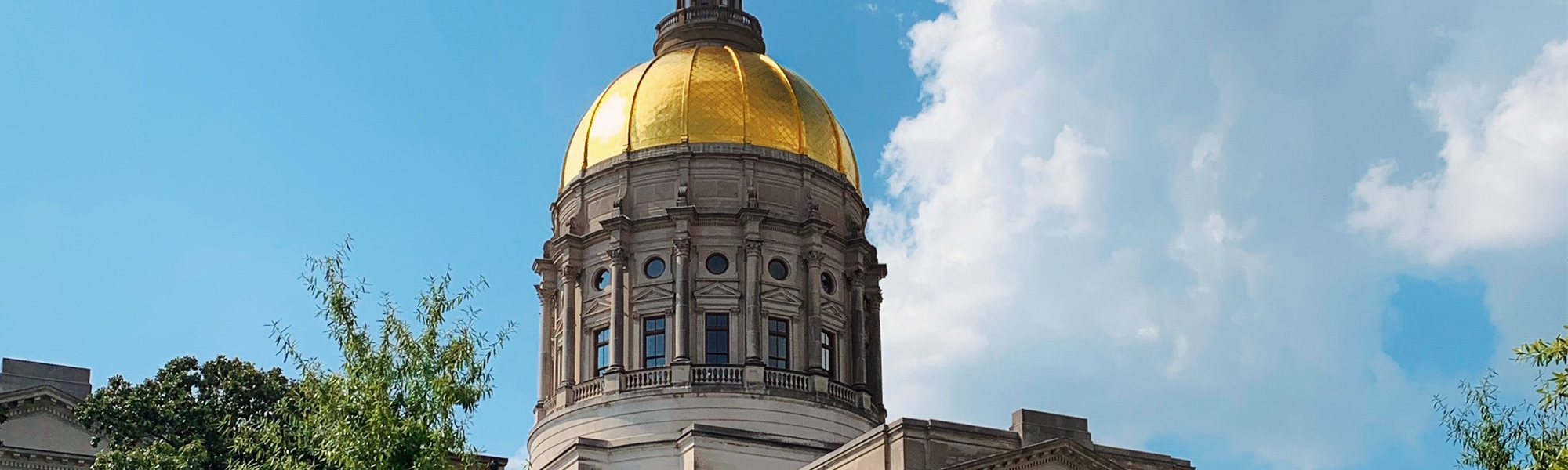 Georgia Revenue Primer for State Fiscal Year 2022 - Georgia Budget and Policy Institute - Vimarsana News