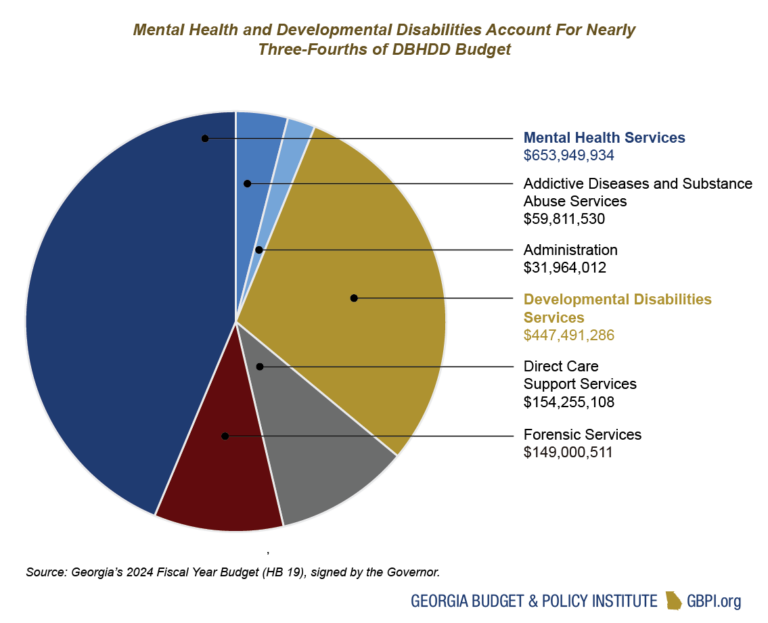 Health Budget Primer for State Fiscal Year 2024