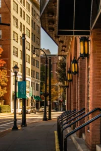 Tree-lined street on a college campus