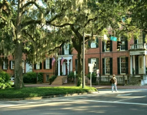 Historic homes under live oaks in Savannah