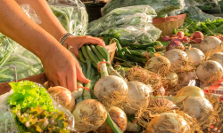 Copy of Copy of WordPress Featured Image Template (2)