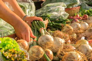 Copy of Copy of WordPress Featured Image Template (2)