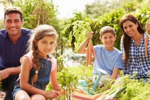 Family-farming-carrots